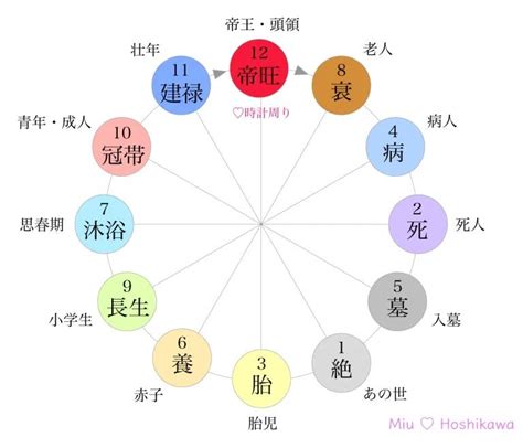 十二運 病|四柱推命の十二運：病